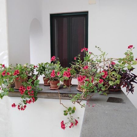 Casa De Angelis Orange&Blue Appartement Sant'Agnello Buitenkant foto