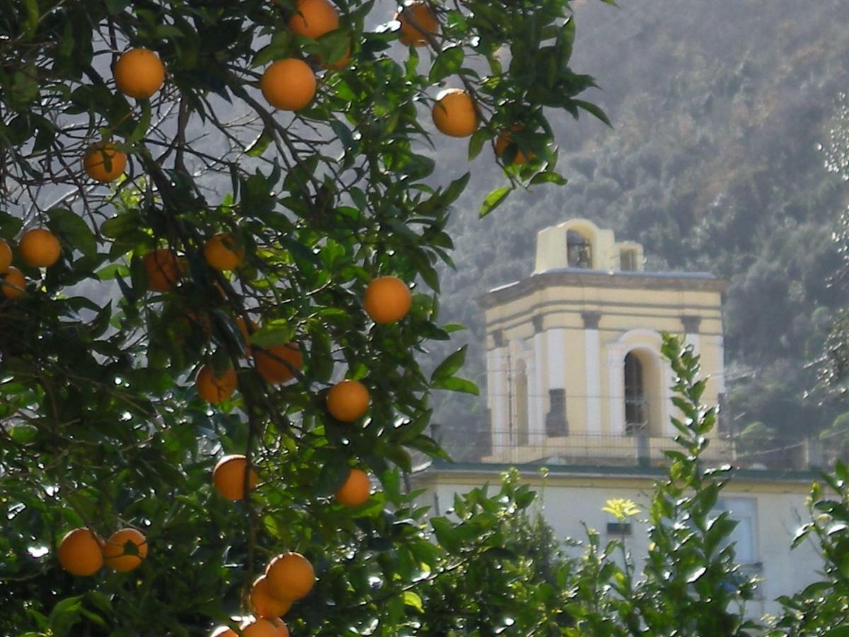 Casa De Angelis Orange&Blue Appartement Sant'Agnello Buitenkant foto