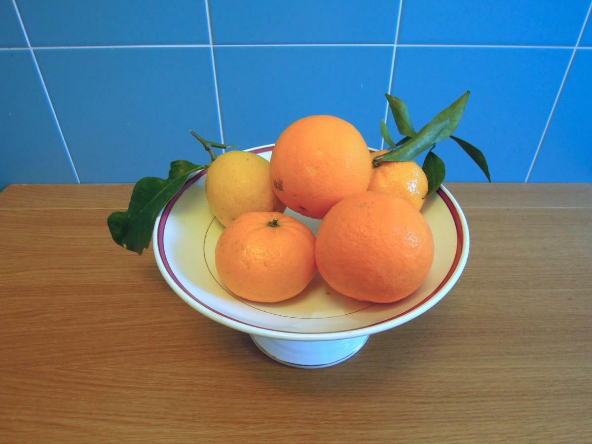Casa De Angelis Orange&Blue Appartement Sant'Agnello Buitenkant foto